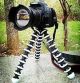 Stela Gorilla Tripod 10 Inch + Action Camera Mount